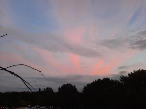 Jacquelien 04 Avondrood